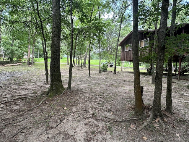 81 Wildwood Ln, Point Blank, TX 77364 - photo 23