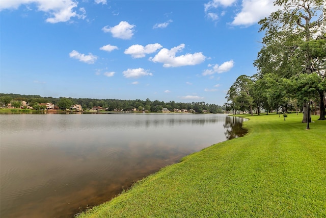9 Lakeview Mnr, Huntsville, TX 77340 - photo 1