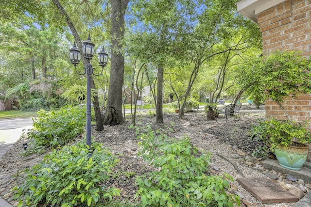 98 S Dreamweaver Cir, The Woodlands, TX 77380 - photo 2