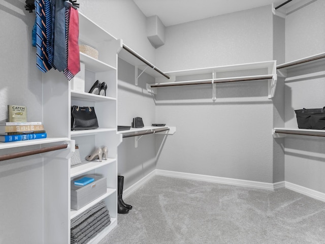103 Lakeshore Ct, Clute, TX 77531 - spacious closet with carpet flooring