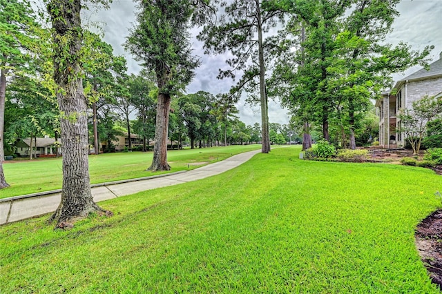 3134 Lake Island Dr, Montgomery, TX 77356 - view of green lawn