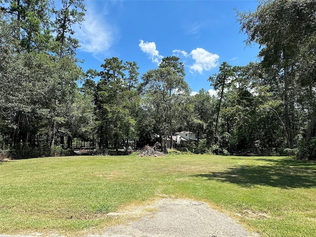 319 Havard Rd, Huffman, TX 77336 - photo 3