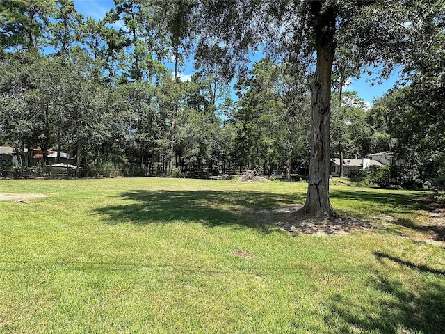 319 Havard Rd, Huffman, TX 77336 - photo 4