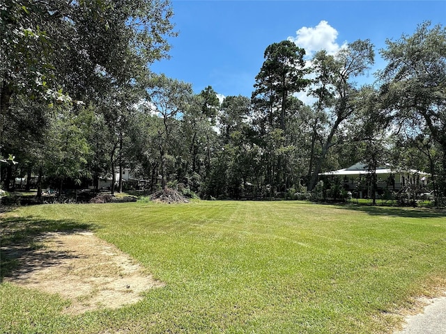 319 Havard Rd, Huffman, TX 77336 - photo 5