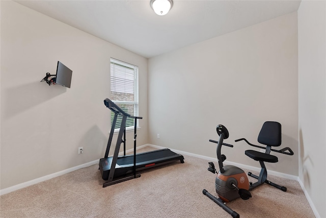 20726 Ranch Mill Ln, Cypress, TX 77433 - exercise room with carpet floors