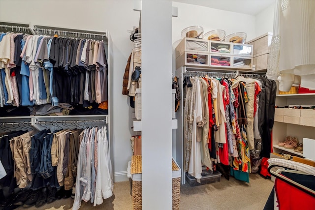 1126 Lake Pointe Pkwy, Sugar Land, TX 77478 - spacious closet with carpet flooring