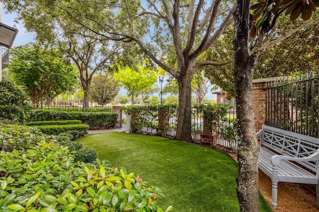 1126 Lake Pointe Pkwy, Sugar Land, TX 77478 - view of yard