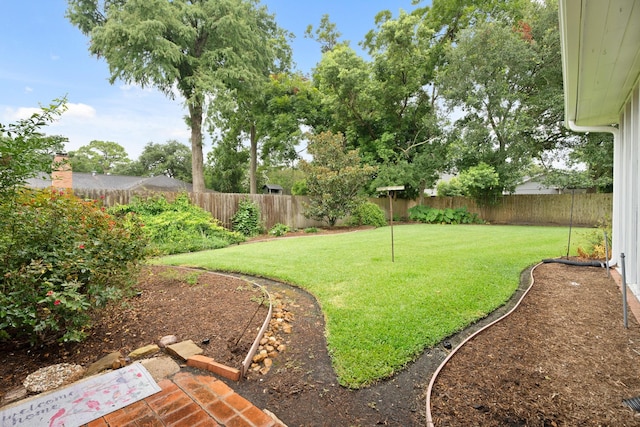 303 S Jackson St, Alvin, TX 77511 - view of fenced backyard