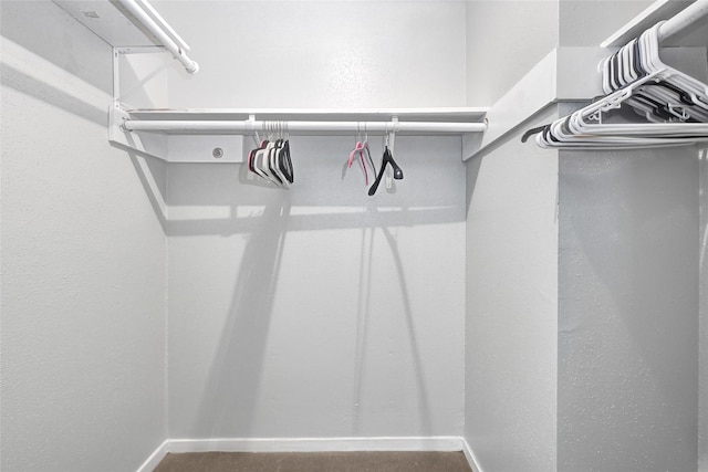 20042 S Pecos Valley Trl, Katy, TX 77449 - view of walk in closet