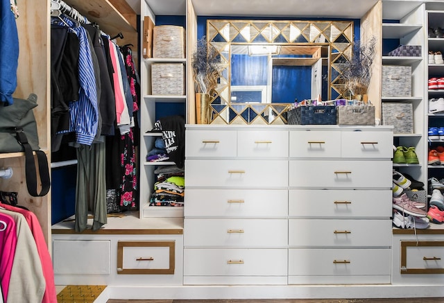4723 Peninsula Garden Way, Humble, TX 77396 - view of spacious closet