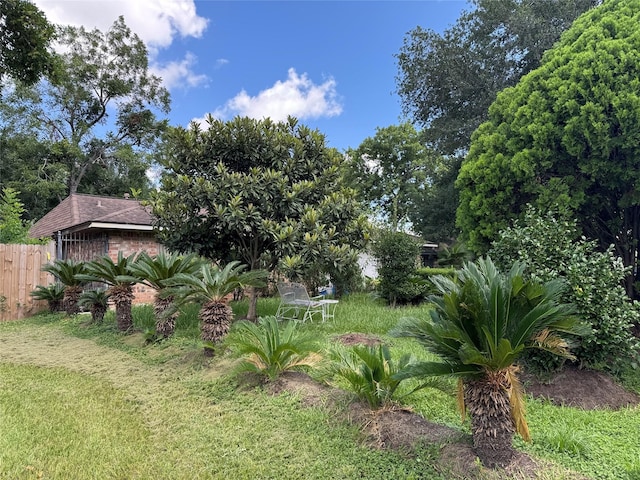 9227 Vanwood St, Houston, TX 77040 - view of yard