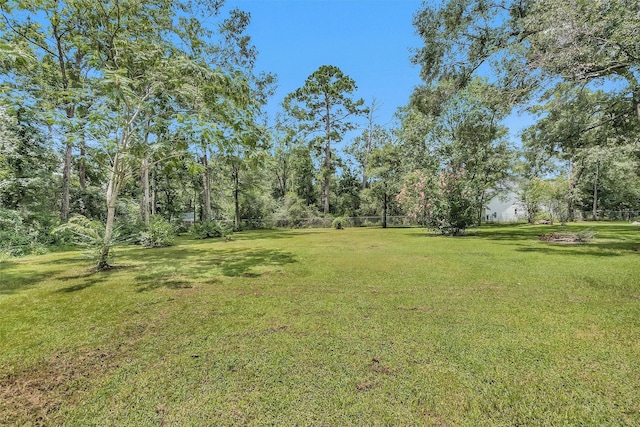 11802 Linger Ln, Conroe, TX 77303 - photo 44