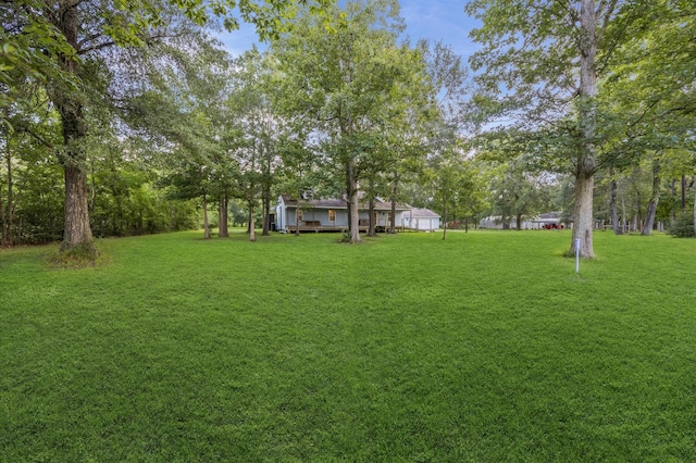 1187 County Road 6479, Dayton, TX 77535 - photo 4