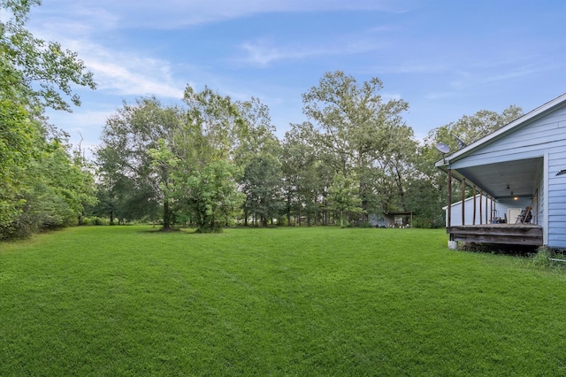 1187 County Road 6479, Dayton, TX 77535 - photo 28