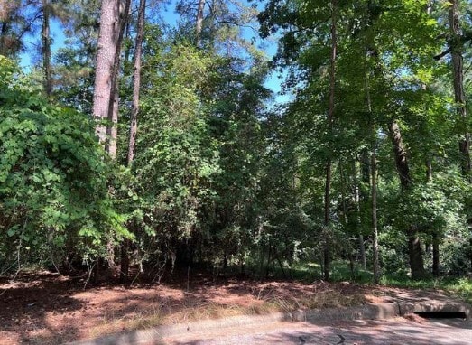 1924 Foxbriar, Huntsville, TX 77340