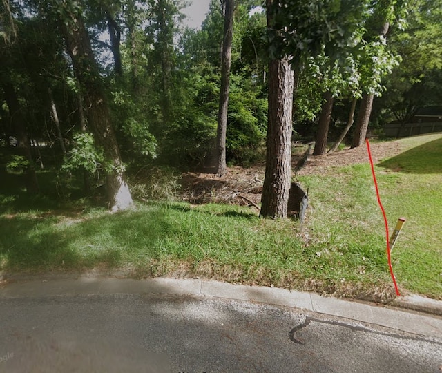 1924 Foxbriar, Huntsville, TX 77340