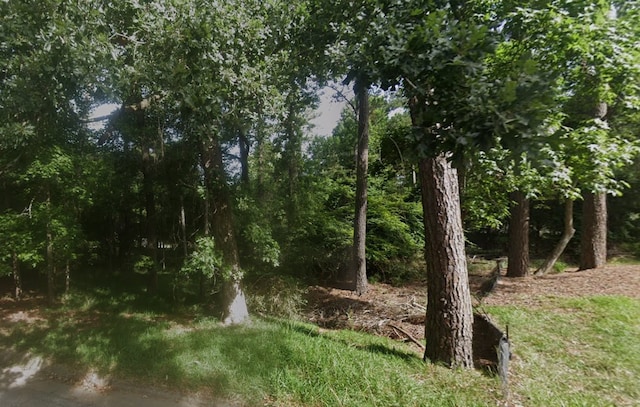 1924 Foxbriar, Huntsville, TX 77340