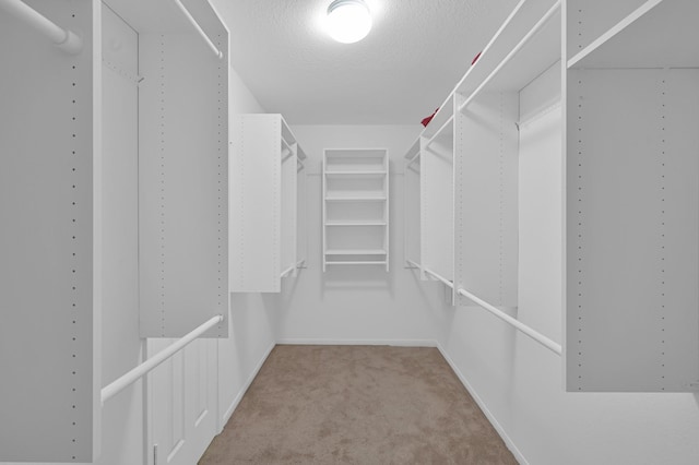 46 Lightwood Trce, The Woodlands, TX 77382 - walk in closet featuring carpet flooring
