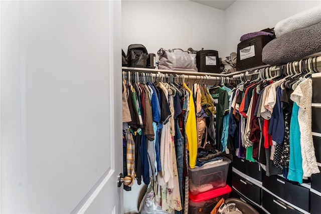 10138 California Lily Ln, Houston, TX 77016 - view of spacious closet