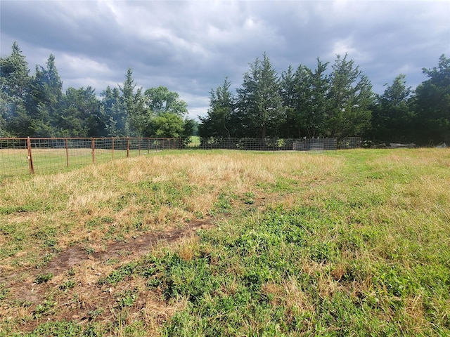 95 Red Tip Ln, Brenham, TX 77833 - view of yard with a rural view