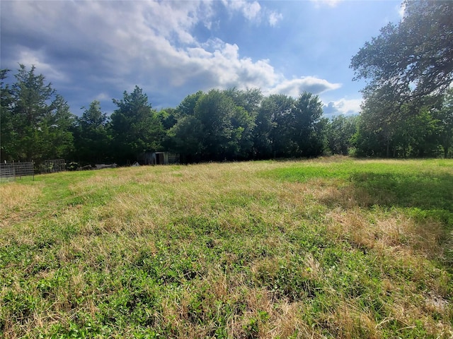 95 Red Tip Ln, Brenham, TX 77833 - view of yard with a view of rural / pastoral area