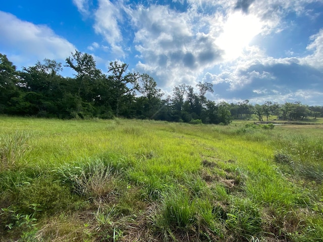 TR8 County Rd 426, Marquez, TX 77865 - photo 1