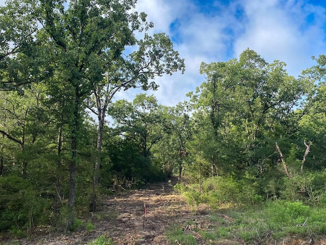TR8 County Rd 426, Marquez, TX 77865 - photo 6