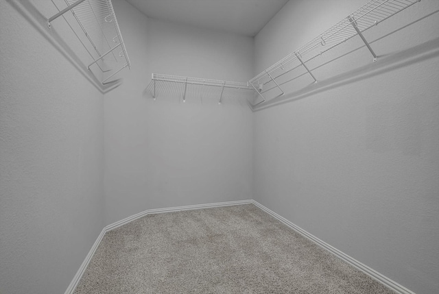 285 Rd 66121, Dayton, TX 77535 - spacious closet featuring carpet flooring