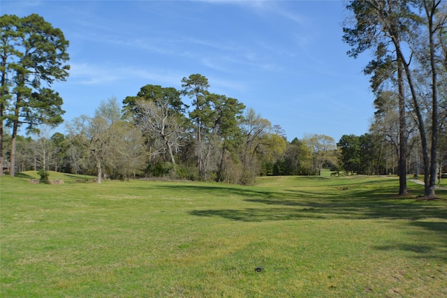 24408 Latrobe Dr, Huntsville, TX 77320 - photo 8