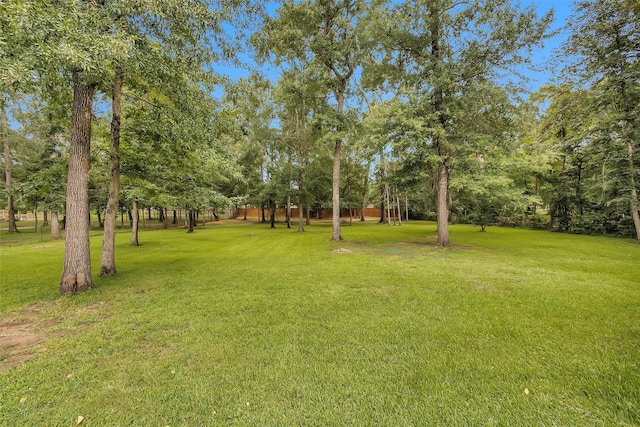 9170 Sierra Del Carmen, Conroe, TX 77303 - photo 36