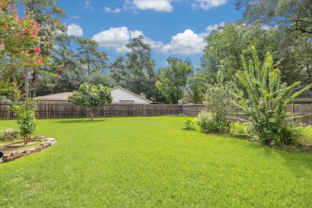 16810 Methil Dr, Spring, TX 77379 - view of fenced backyard