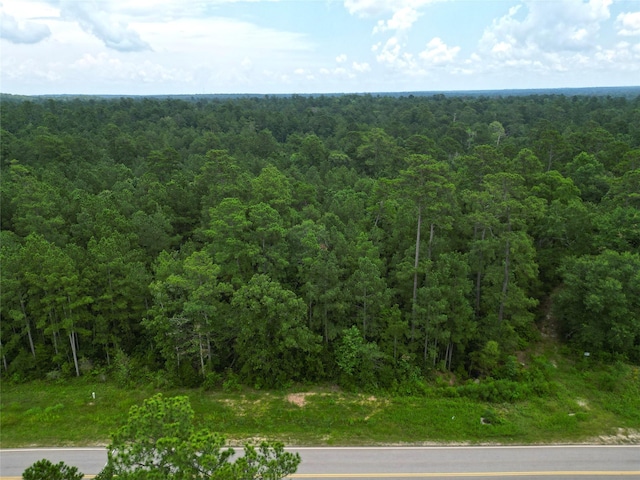 6-30-13 Dipping Vat Rd, Huntsville, TX 77340 - photo 3