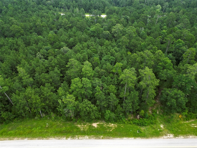 6-30-13 Dipping Vat Rd, Huntsville, TX 77340 - photo 4