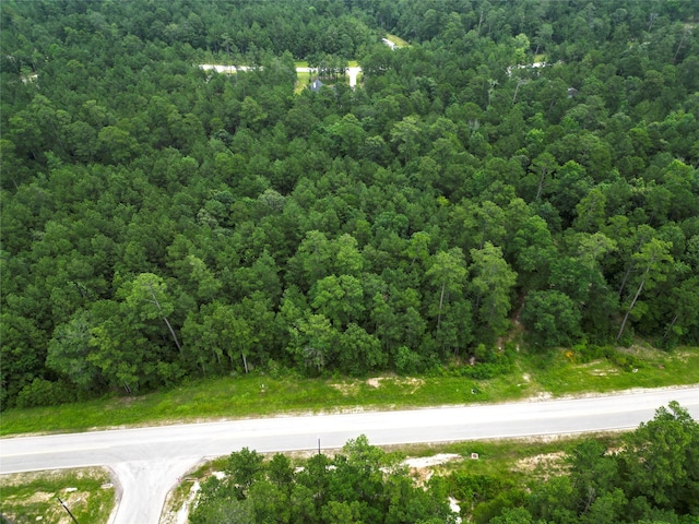 6-30-13 Dipping Vat Rd, Huntsville, TX 77340 - photo 9