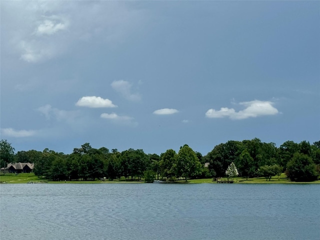 336 Royal Navigator Rd, Montgomery, TX 77316 - photo 1