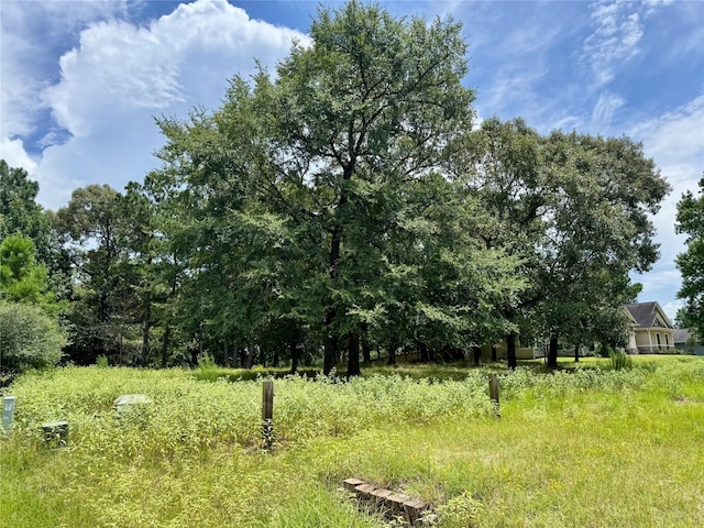 336 Royal Navigator Rd, Montgomery, TX 77316 - photo 2