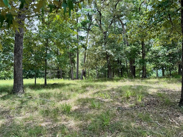 336 Royal Navigator Rd, Montgomery, TX 77316 - photo 3