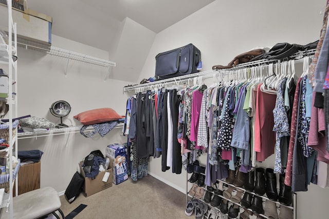 30302 Castle Forest Dr, Spring, TX 77386 - walk in closet featuring carpet floors