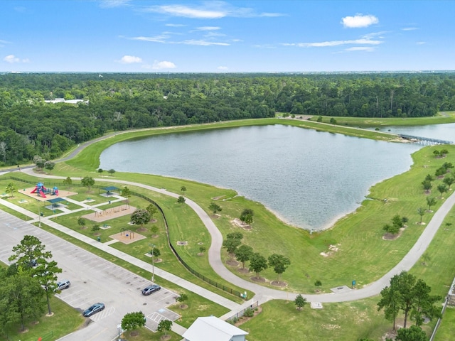 11938 Galentine Pt, Cypress, TX 77429 - aerial view of a large body of water and a heavily wooded area