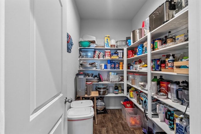 12137 Pearl Bay Ln, Conroe, TX 77304 - view of pantry