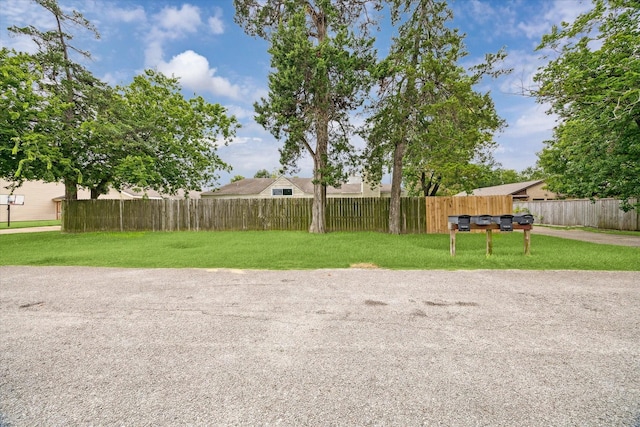 9009 Carousel Ln, Houston, TX 77080 - photo 3