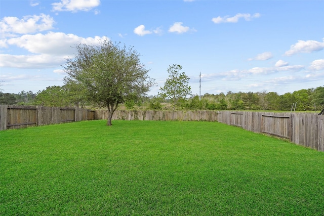 2038 Borthwick Ln, Conroe, TX 77301 - photo 26
