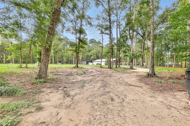 24824 W Christine Dr, Splendora, TX 77372 - view of dirt / gravel road