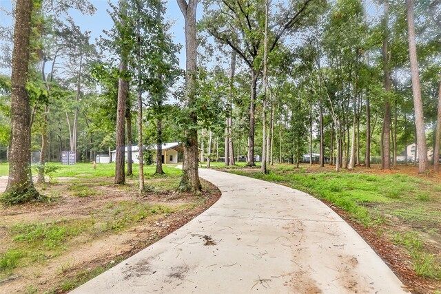 24824 W Christine Dr, Splendora, TX 77372 - view of property's community featuring view of wooded area