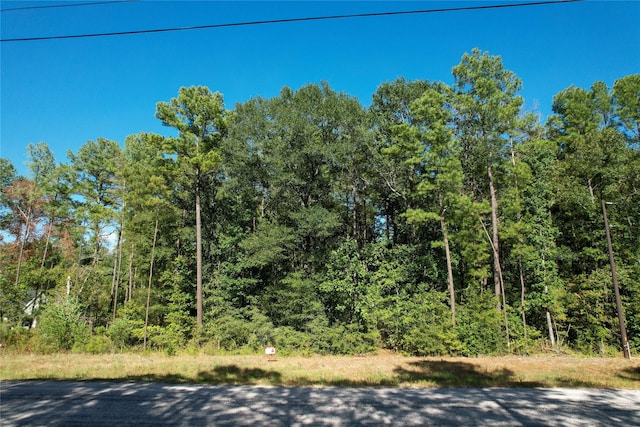 4A-11-61 Shadow Ln, Huntsville, TX 77340