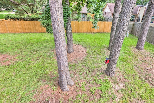 3203 Sycamore Springs Dr, Kingwood, TX 77339 - view of fenced backyard