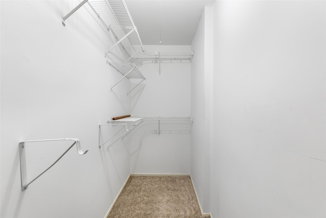 3203 Sycamore Springs Dr, Kingwood, TX 77339 - walk in closet featuring carpet floors