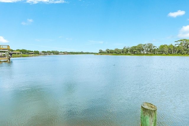 104 Rio Vista Dr, Brazoria, TX 77422 - photo 20