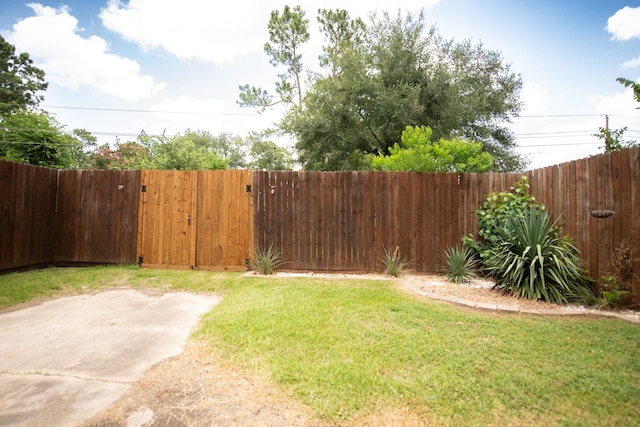 17106 Spring Creek Forest Dr, Spring, TX 77379 - view of yard with a patio