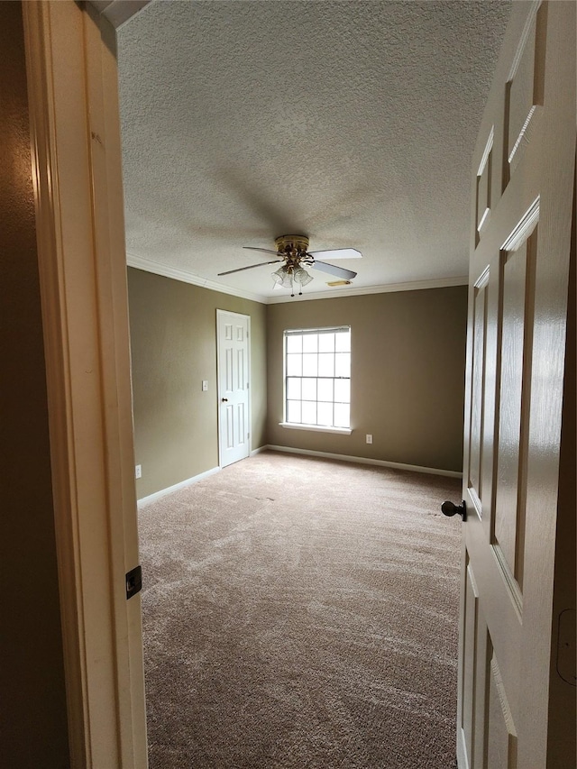 13002 Timberland Trce, Houston, TX 77065 - photo 24